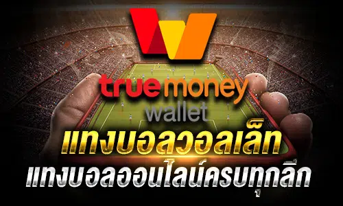 แทงบอลทรูวอลเล็ท