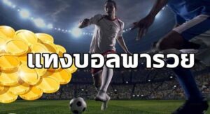 แทงบอลพารวย